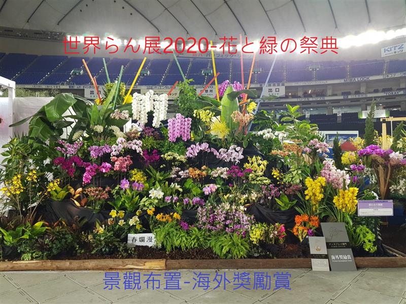 展壯台大蘭園-世界らん展2020-花と緑の祭典 與你相約日本東京