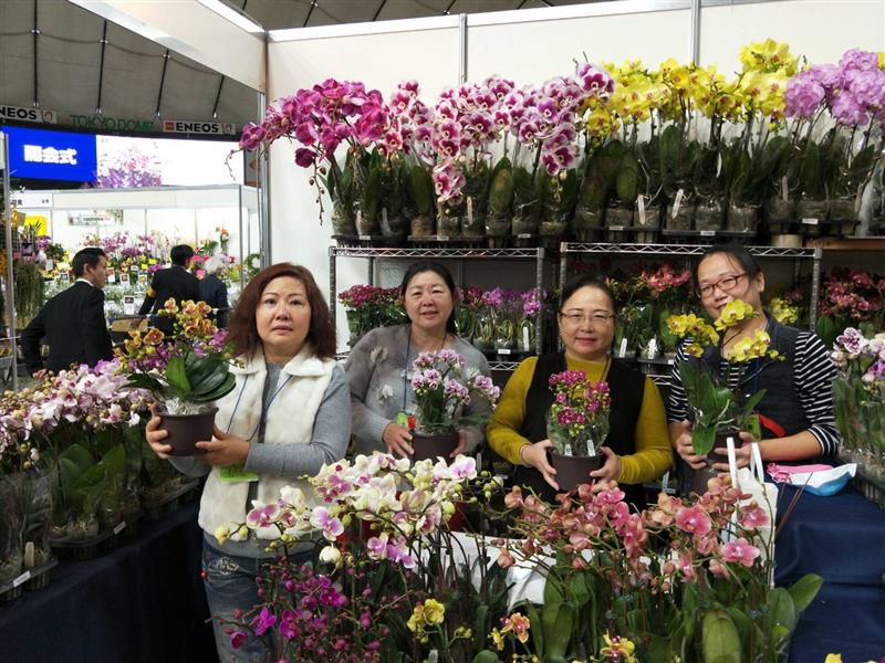 展壯台大蘭園-世界らん展2020-花と緑の祭典 與你相約日本東京