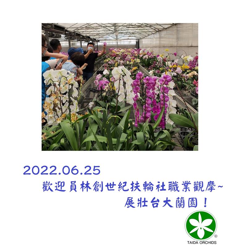 展壯台大蘭園-歡迎員林創世紀扶輪社職業觀摩-2022.6.25